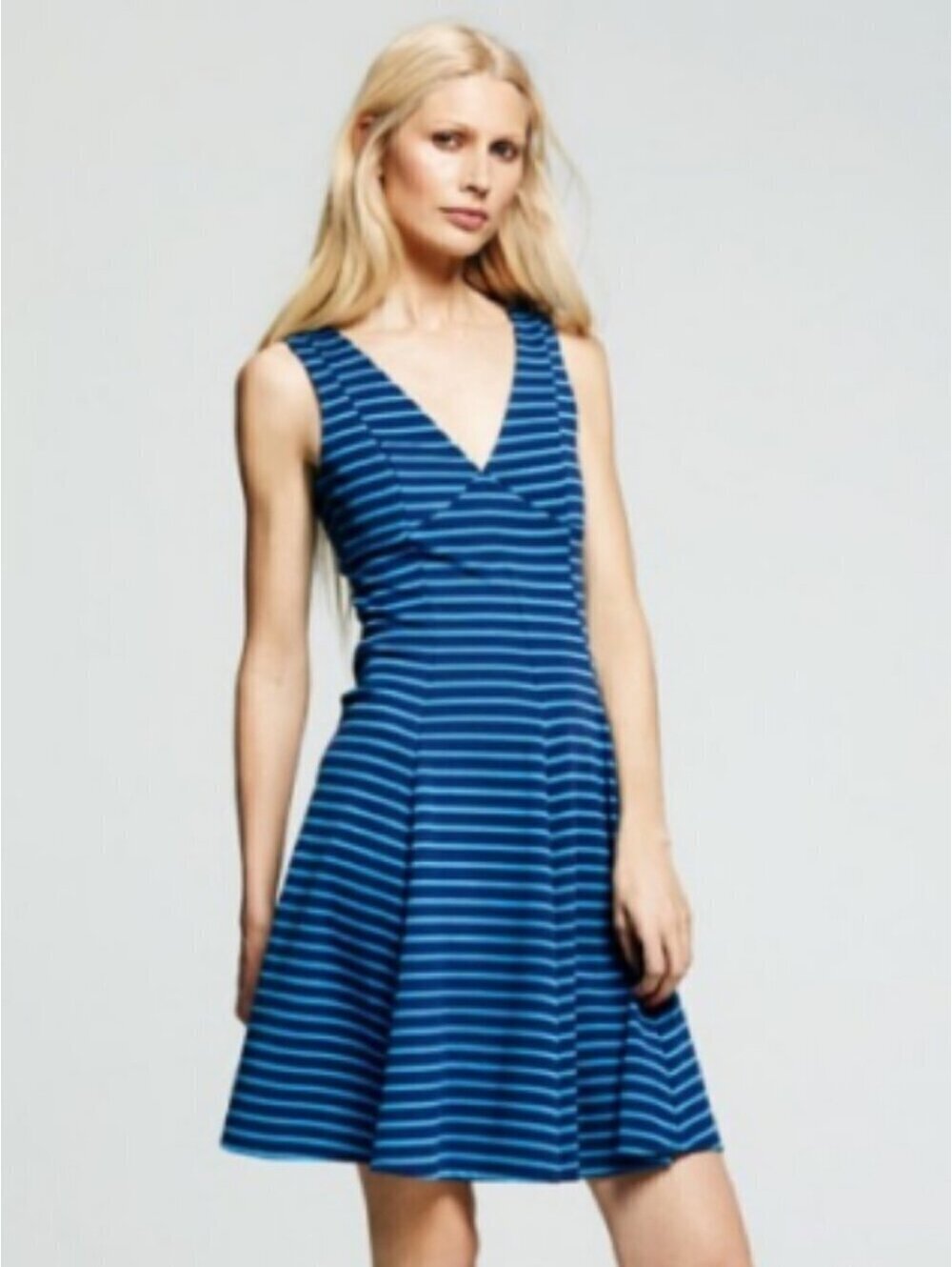 Peter Som | Sz 10 | striped blue skater dress